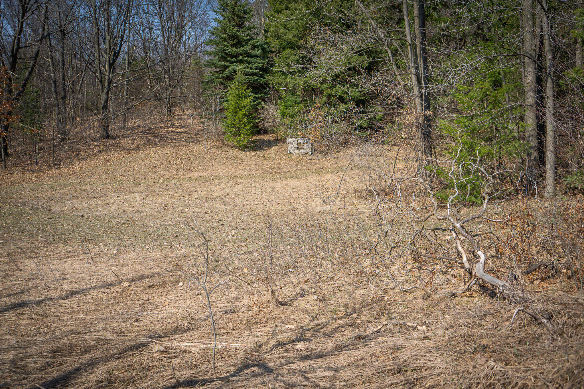 Parcel C 9.97 Acres W Grant Road Property Photo 6