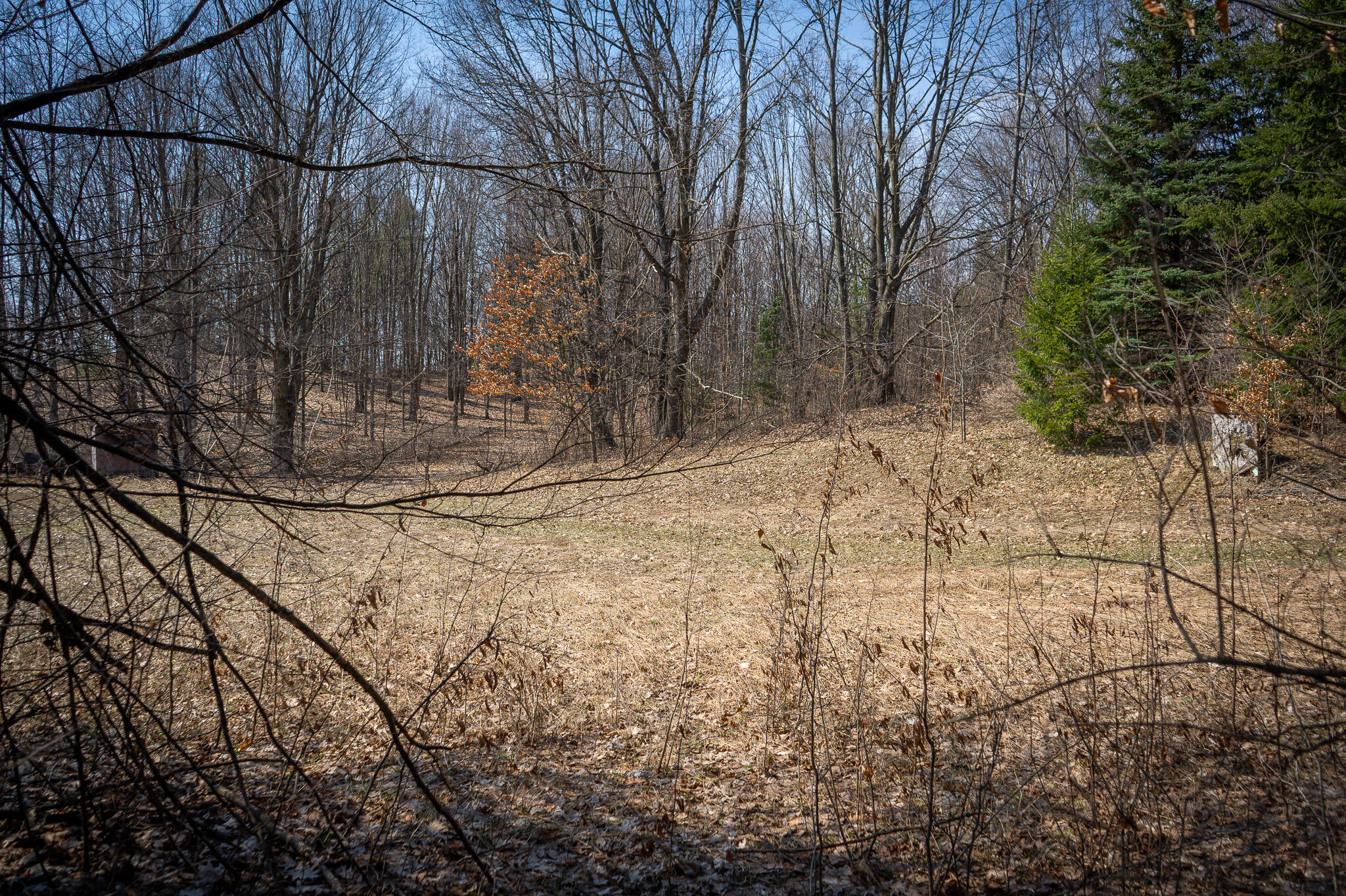 Parcel C 9.97 Acres W Grant Road Property Photo 9