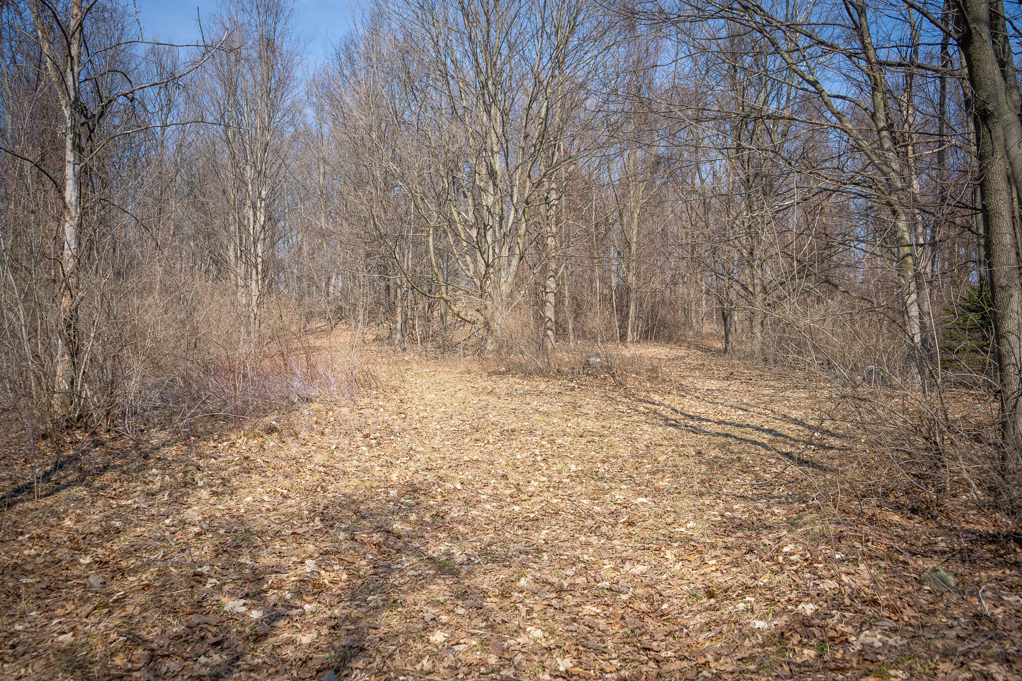 Parcel C 9.97 Acres W Grant Road Property Photo 21