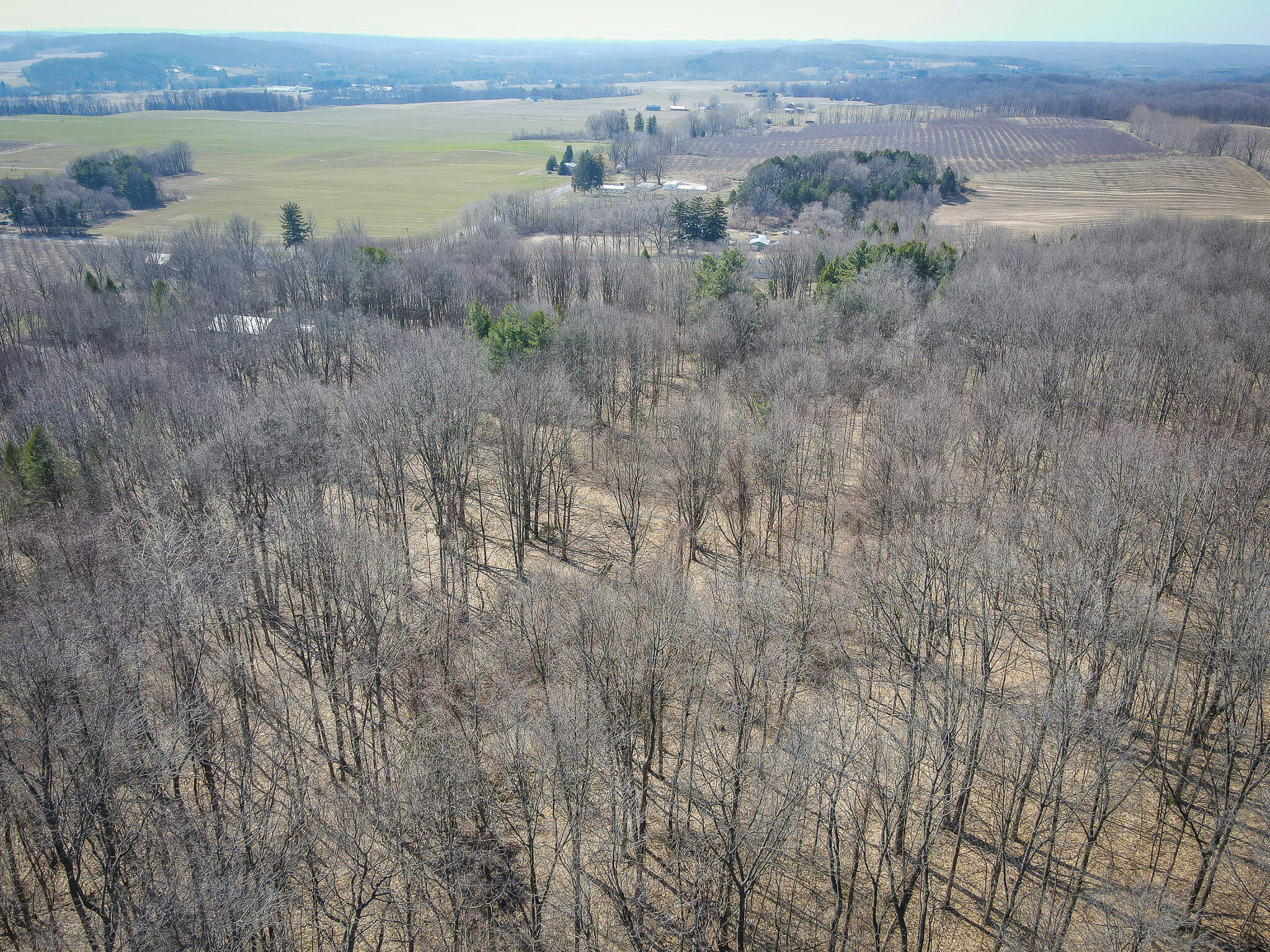 Parcel C 9.97 Acres W Grant Road Property Photo 24