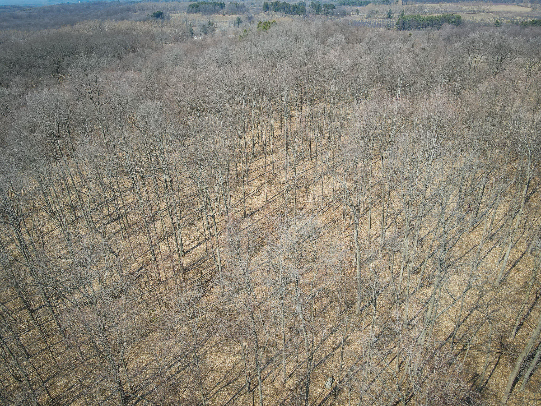 Parcel C 9.97 Acres W Grant Road Property Photo 25