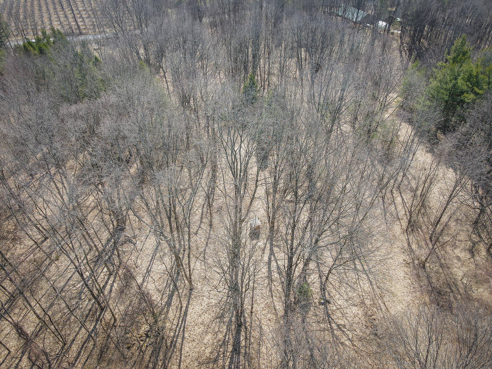 Parcel C 9.97 Acres W Grant Road Property Photo 28