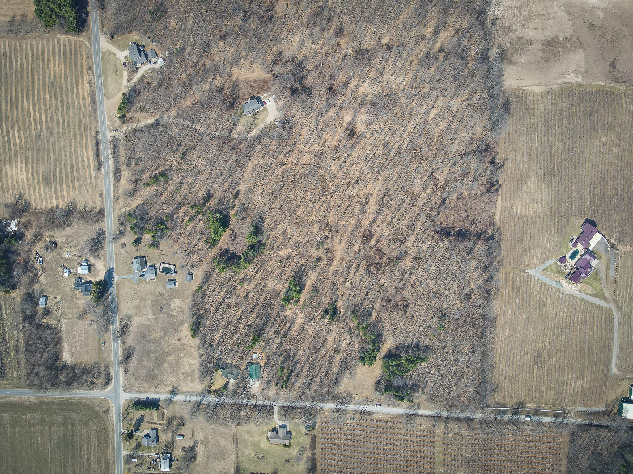 Parcel C 9.97 Acres W Grant Road Property Photo 32