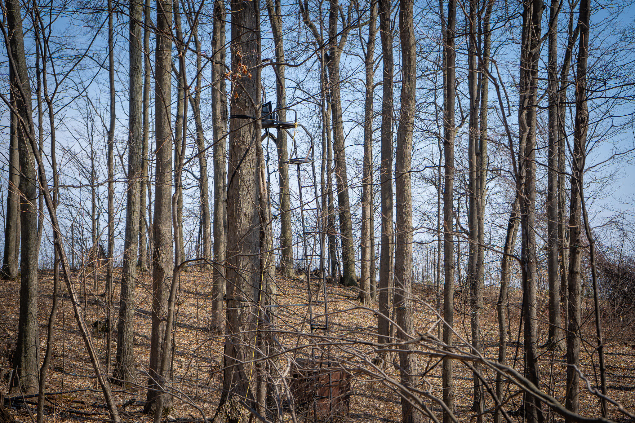 Parcel D 9.98 Acres W Grant Road Property Photo 11