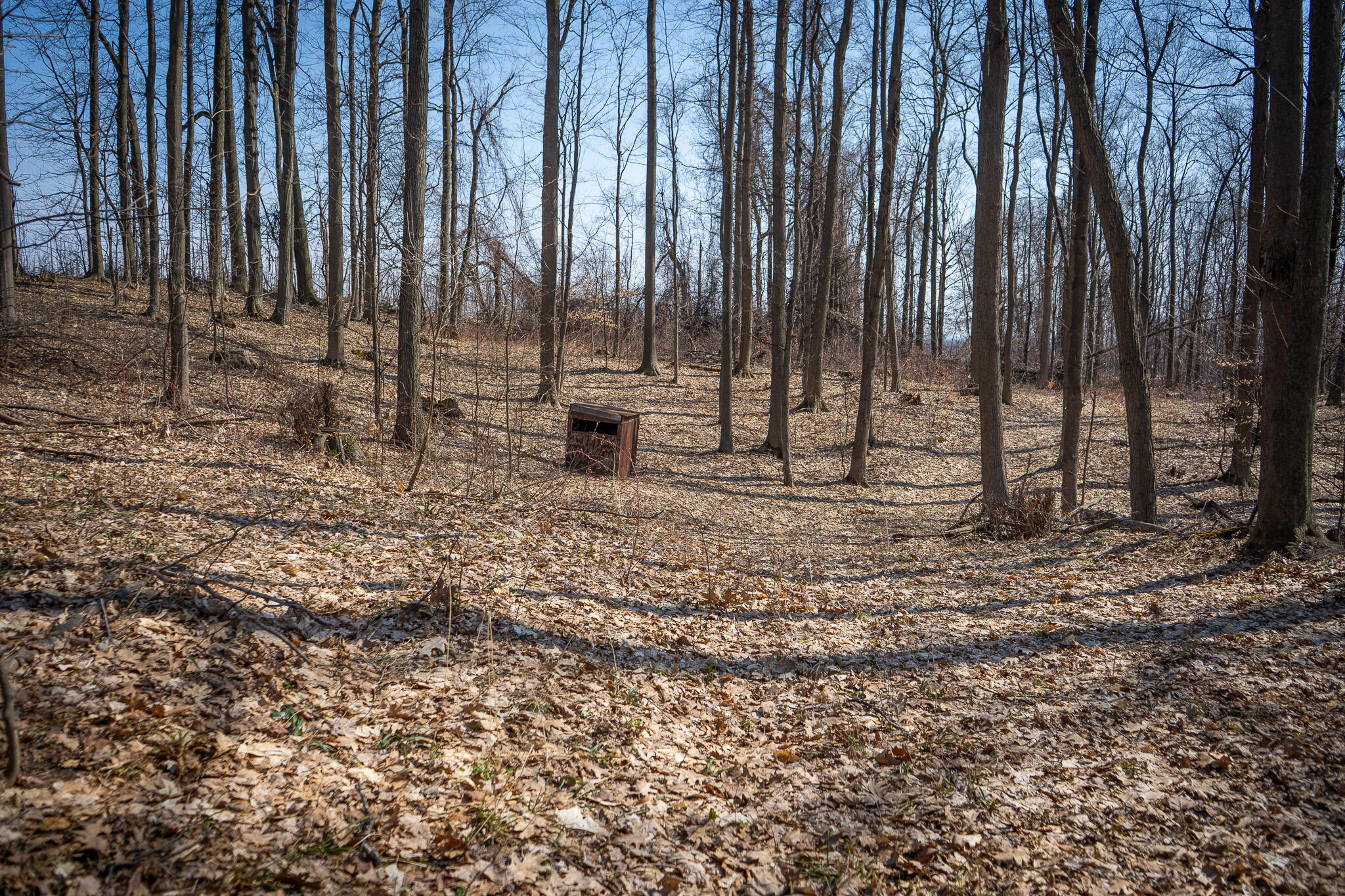 Parcel D 9.98 Acres W Grant Road Property Photo 15