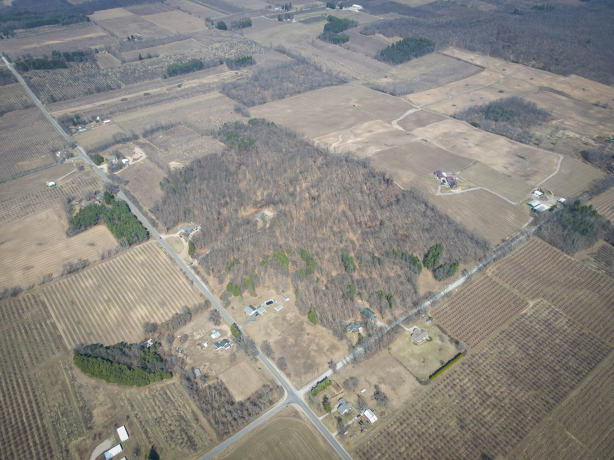 Parcel D 9.98 Acres W Grant Road Property Photo 26