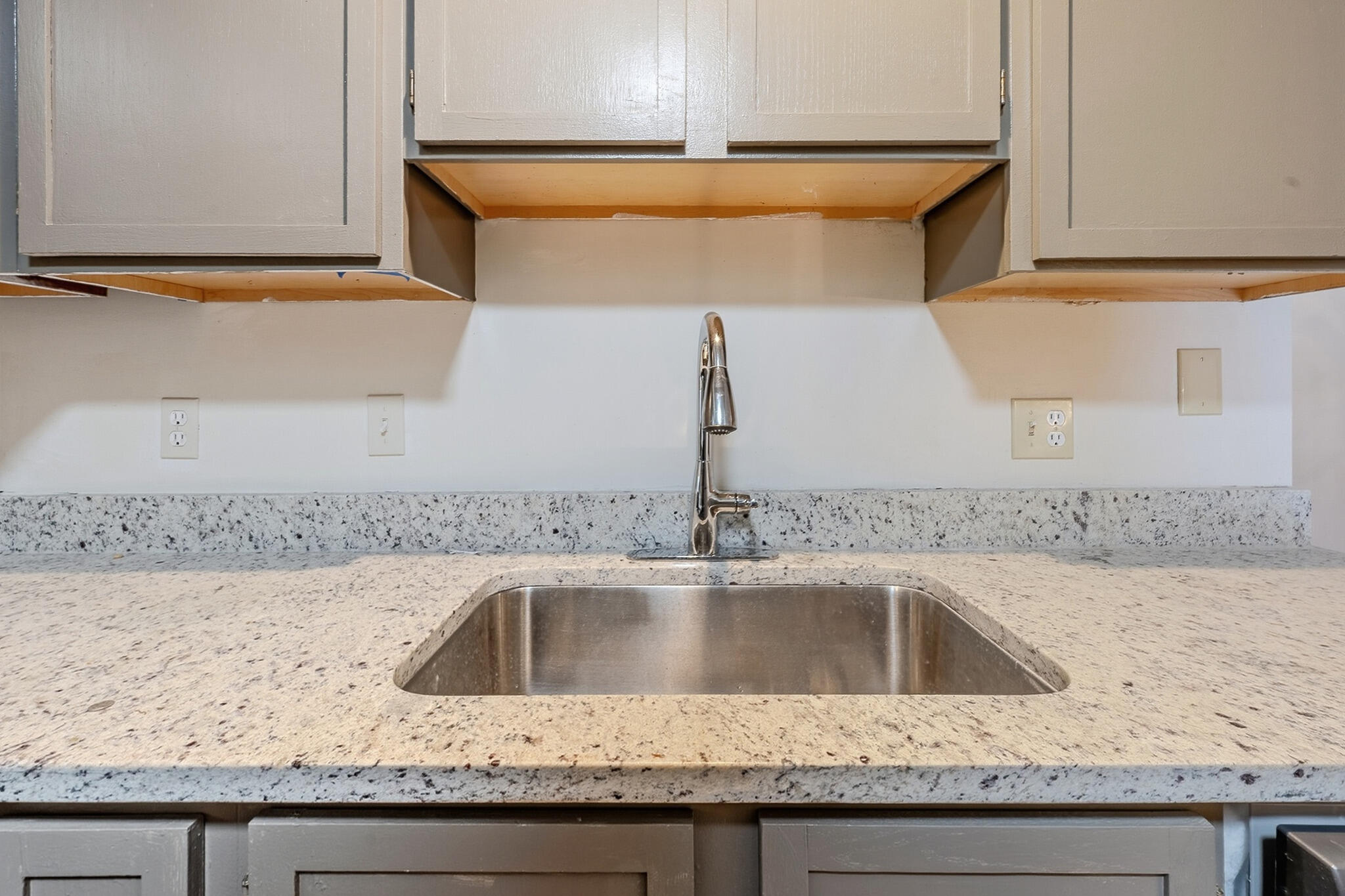 1655 Campau Farms Circle Property Photo 18