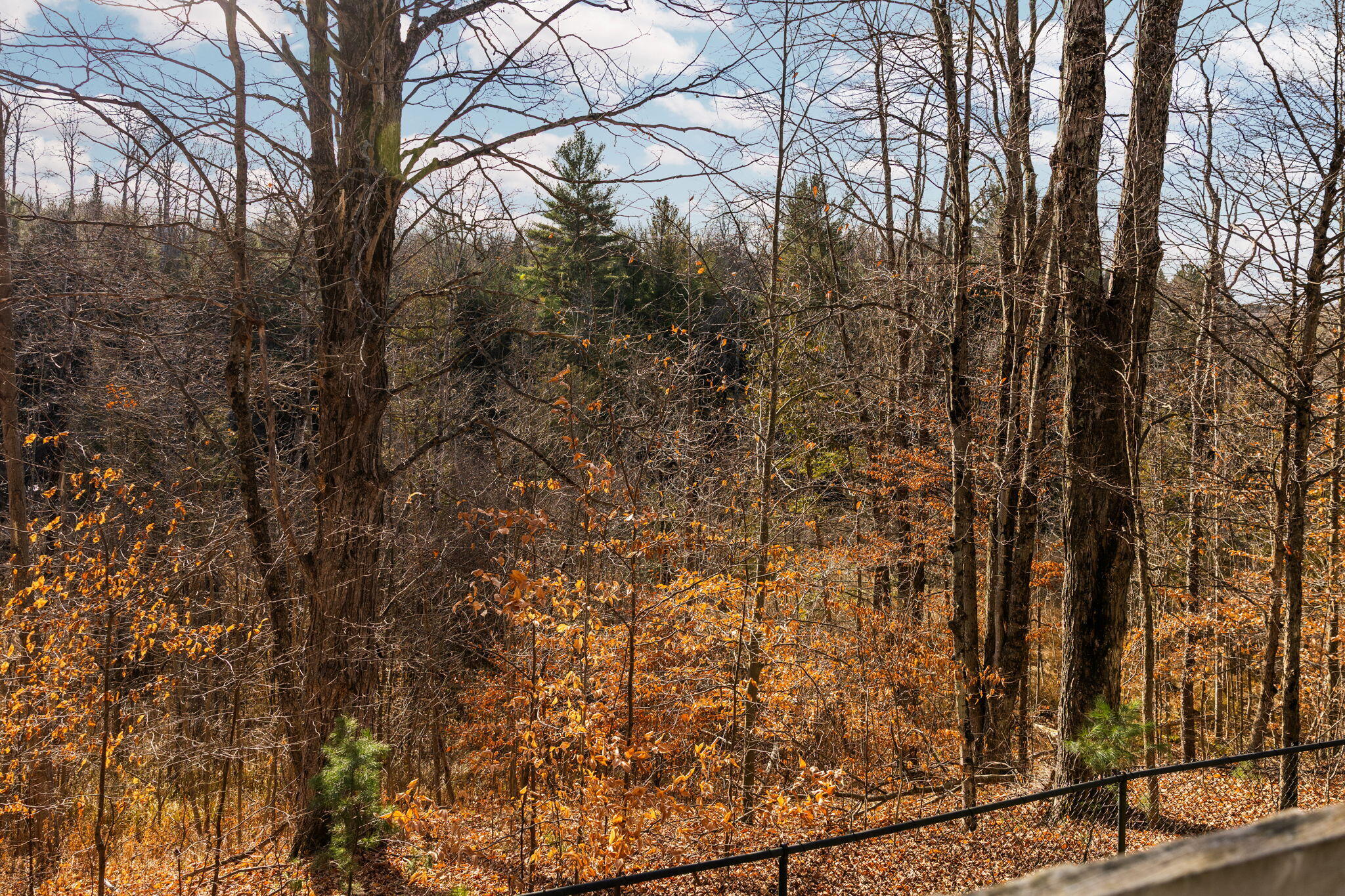15445 Holly Drive Property Photo 47