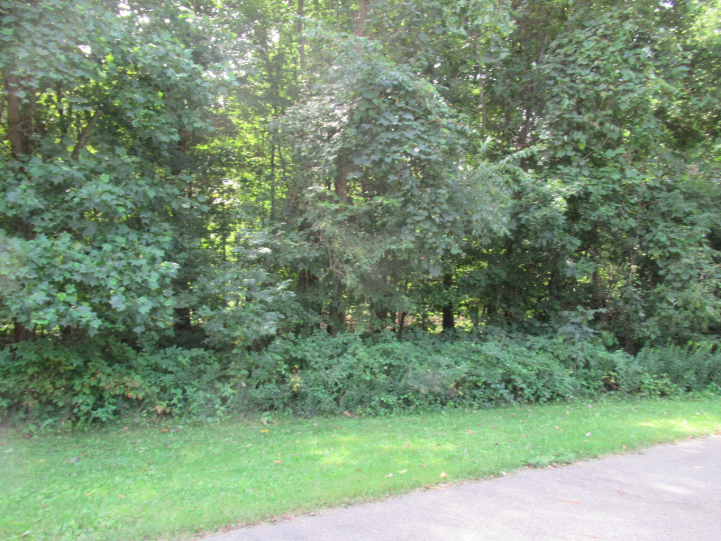 Tract 1 Deep Woods Drive Property Photo 1