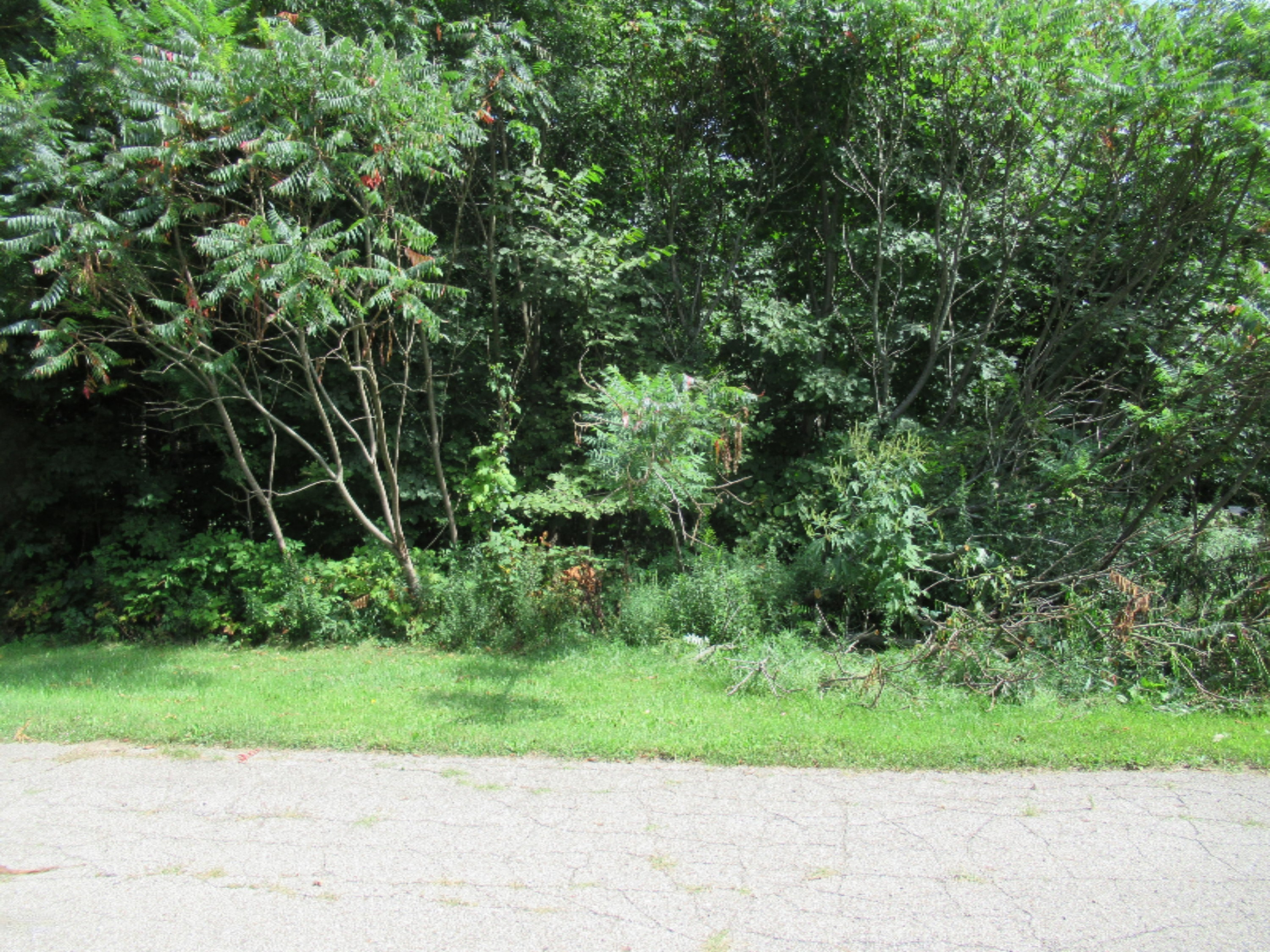 Tract 3 Deep Woods Drive Property Photo 1