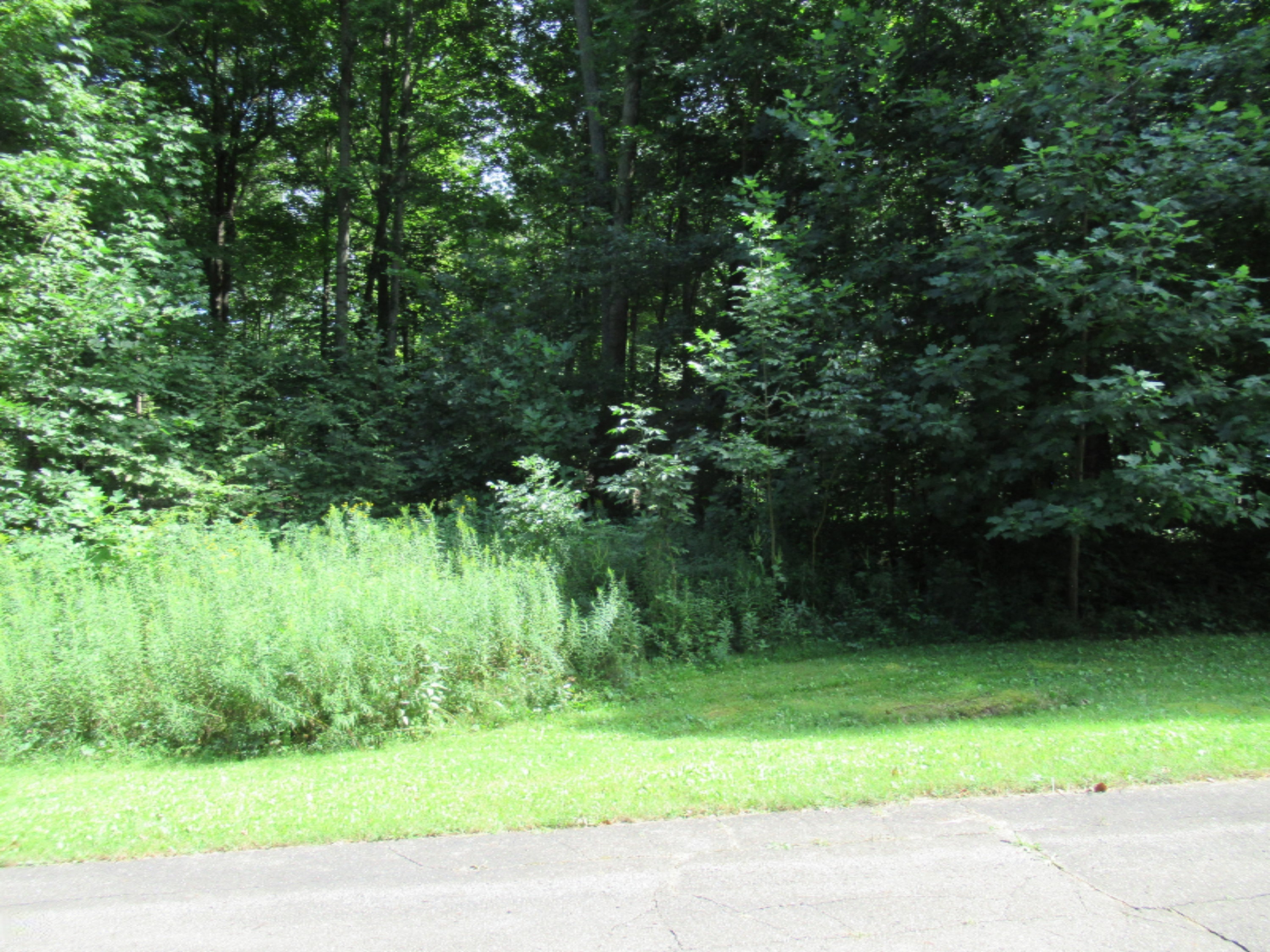 Tract 4 Deep Woods Drive Property Photo 1