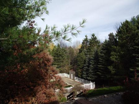 1316,28&70 E Chauvez Road Property Photo 54