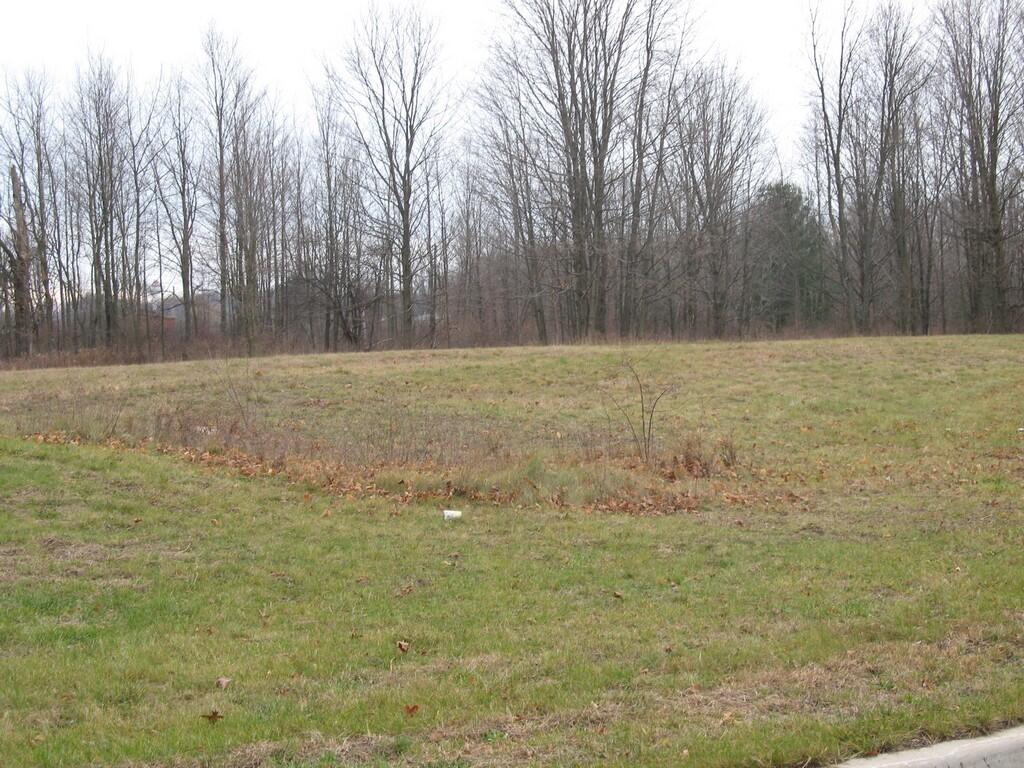 59 Creek Drive Property Photo 5