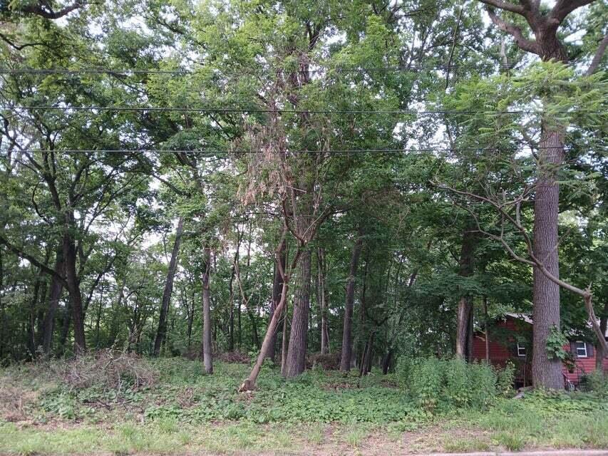 1272 Westlake Woods Drive Property Photo 6