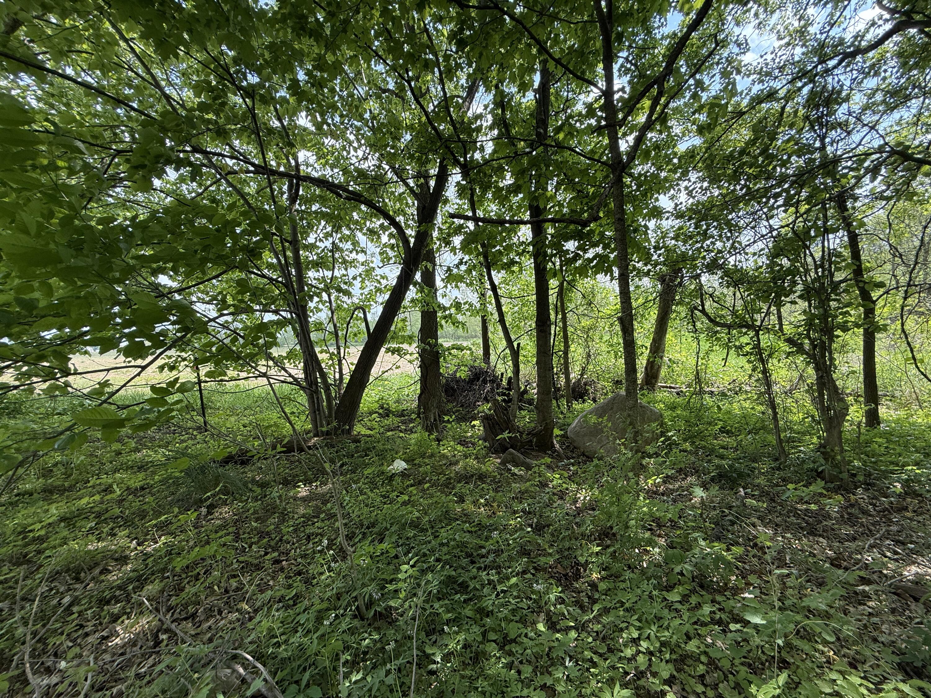 V/l Scottdale Road Property Photo 28