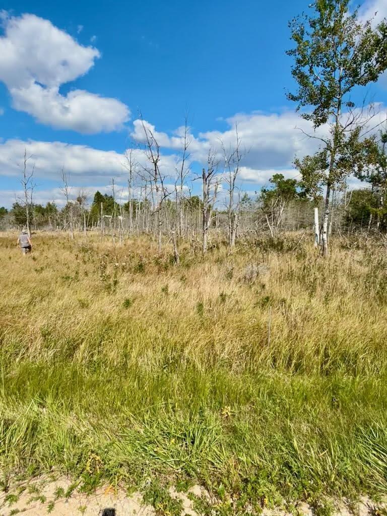 Lot 17, W Fairway Street Property Photo 1