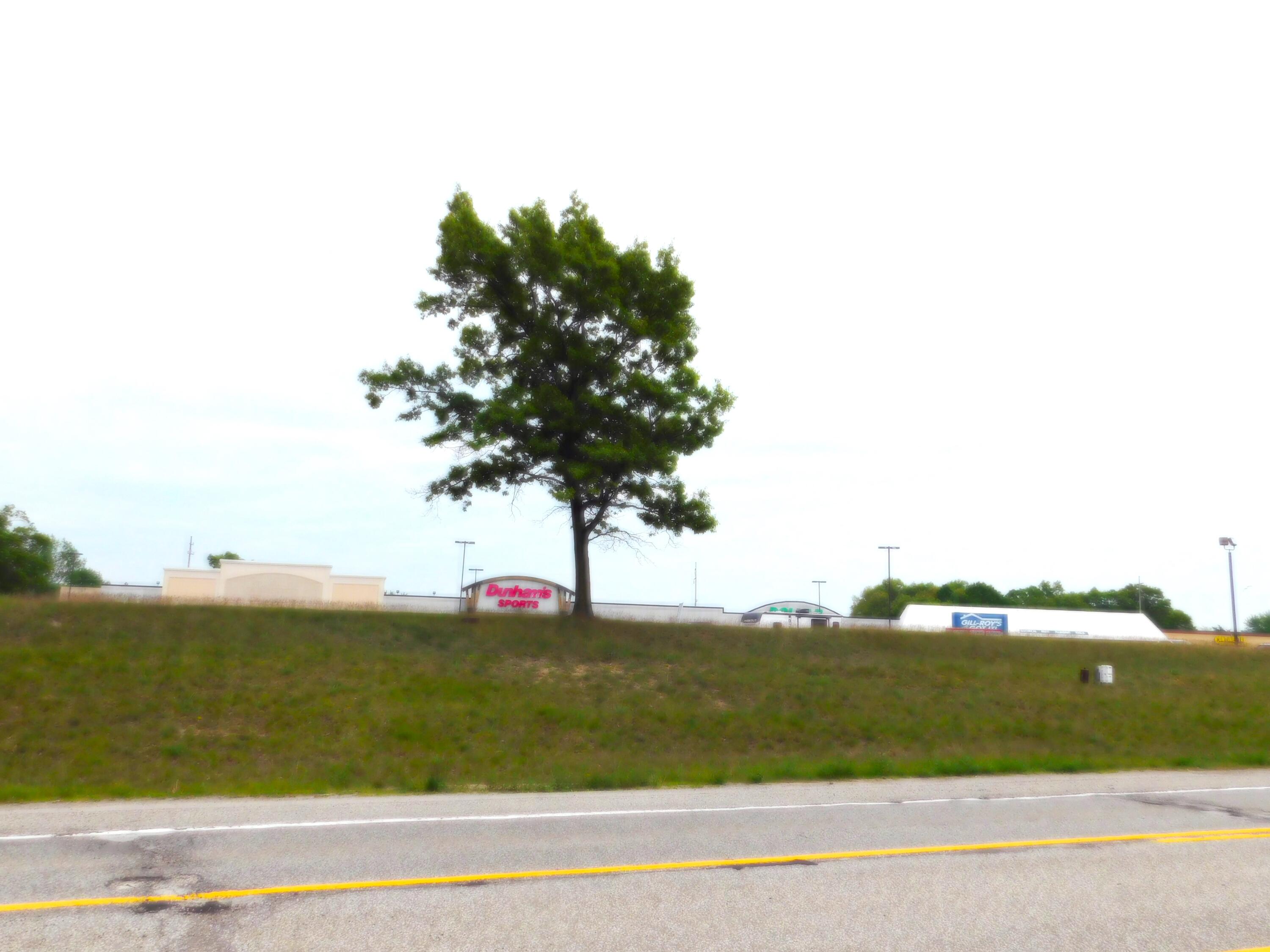 0 Manistee Highway Property Photo 3