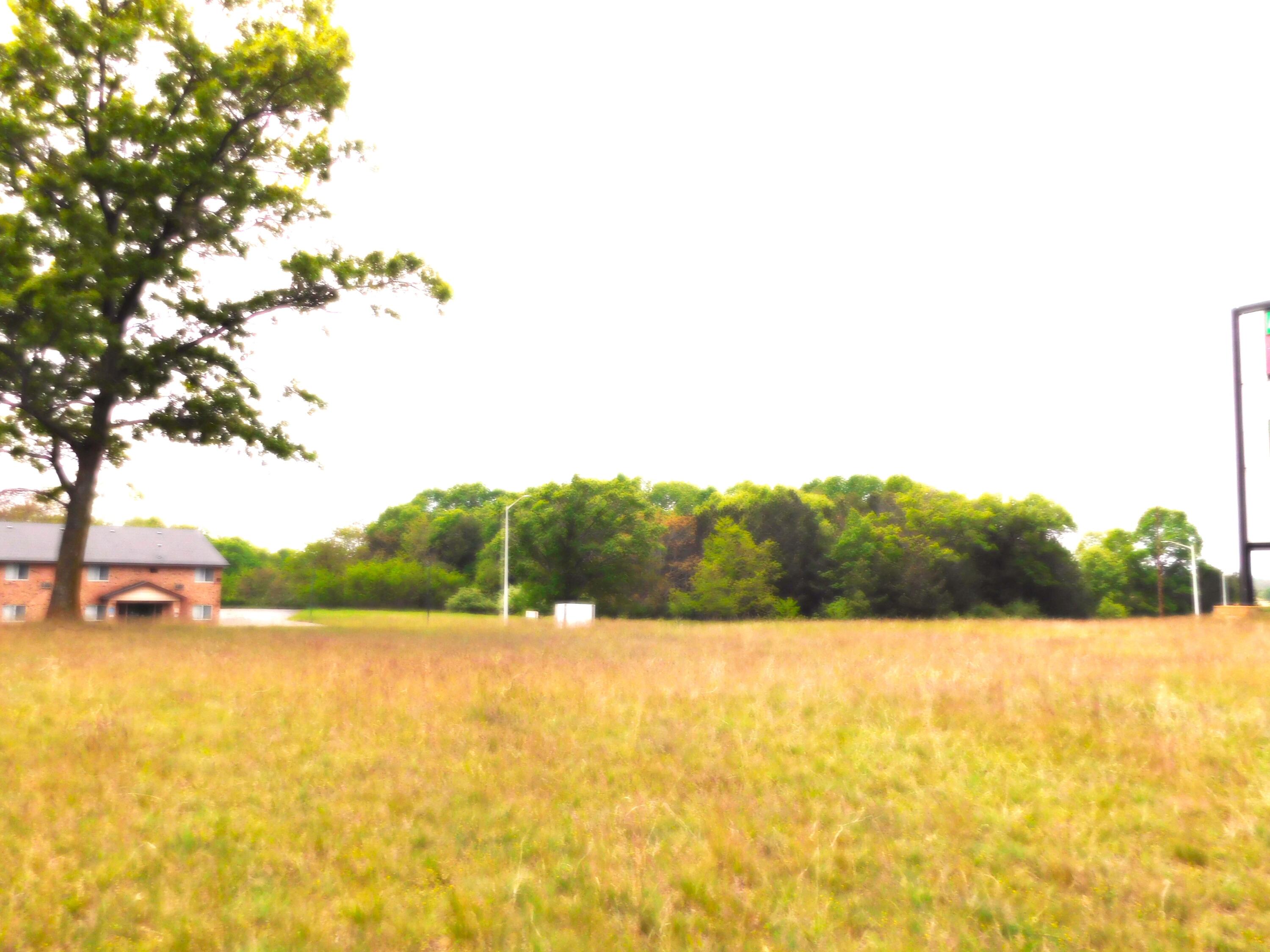 0 Manistee Highway Property Photo 7