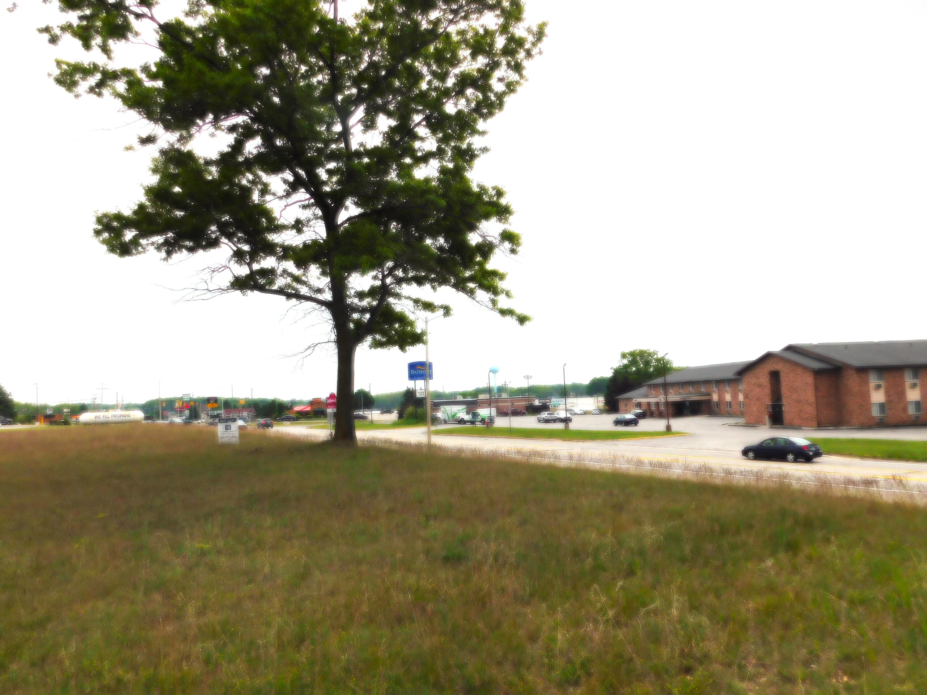 0 Manistee Highway Property Photo 5