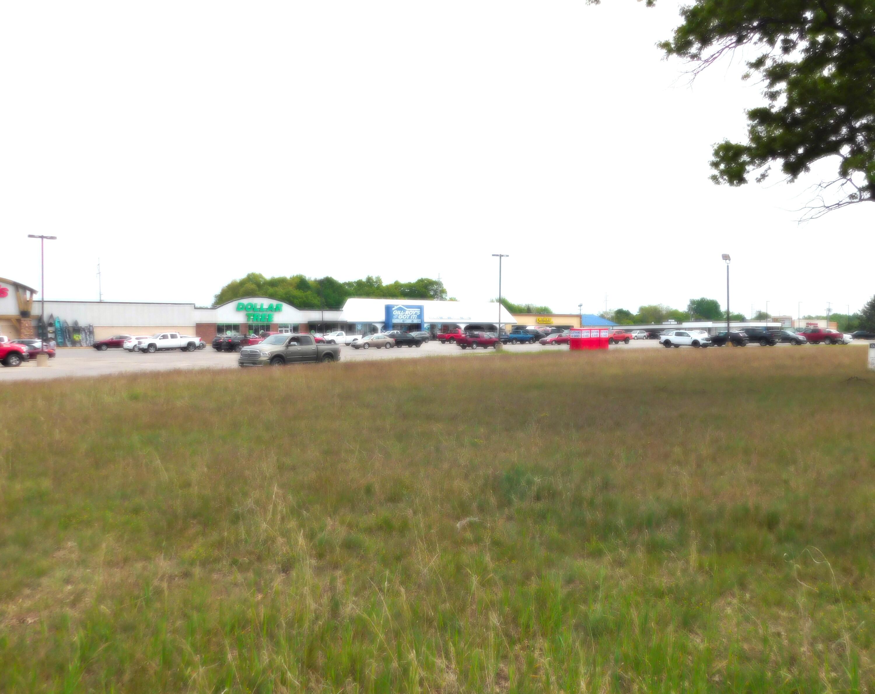 0 Manistee Highway Property Photo 11