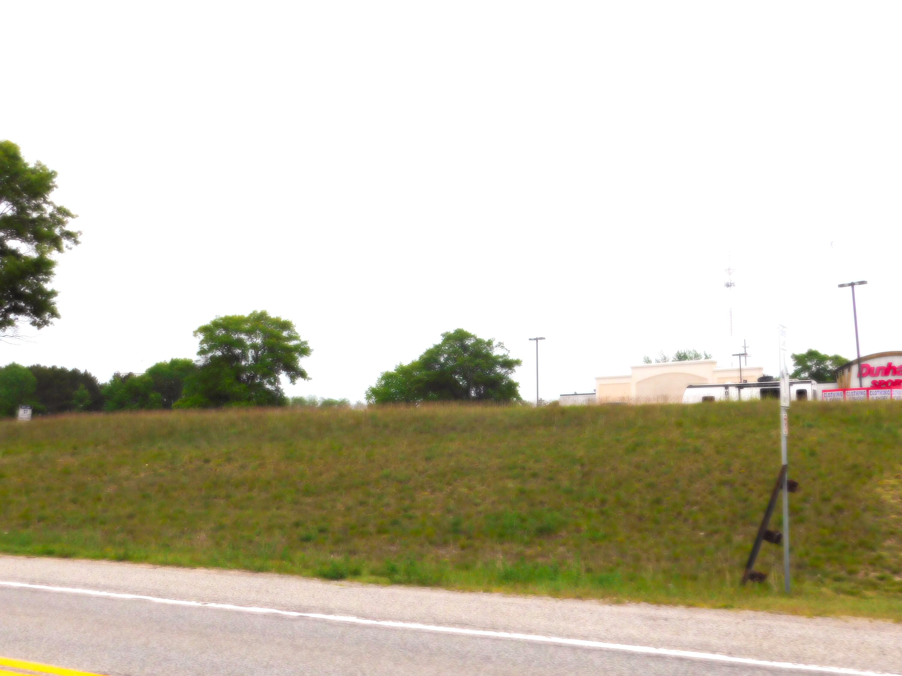 0 Manistee Highway Property Photo 14