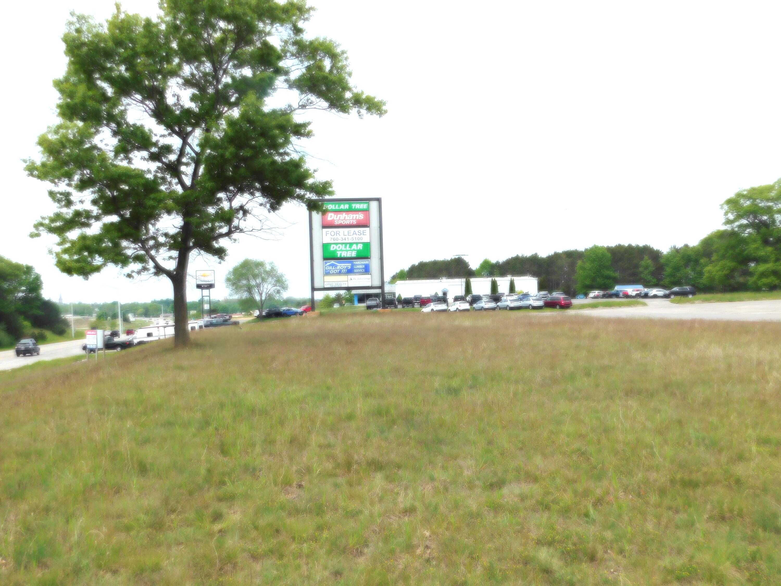 0 Manistee Highway Property Photo 17