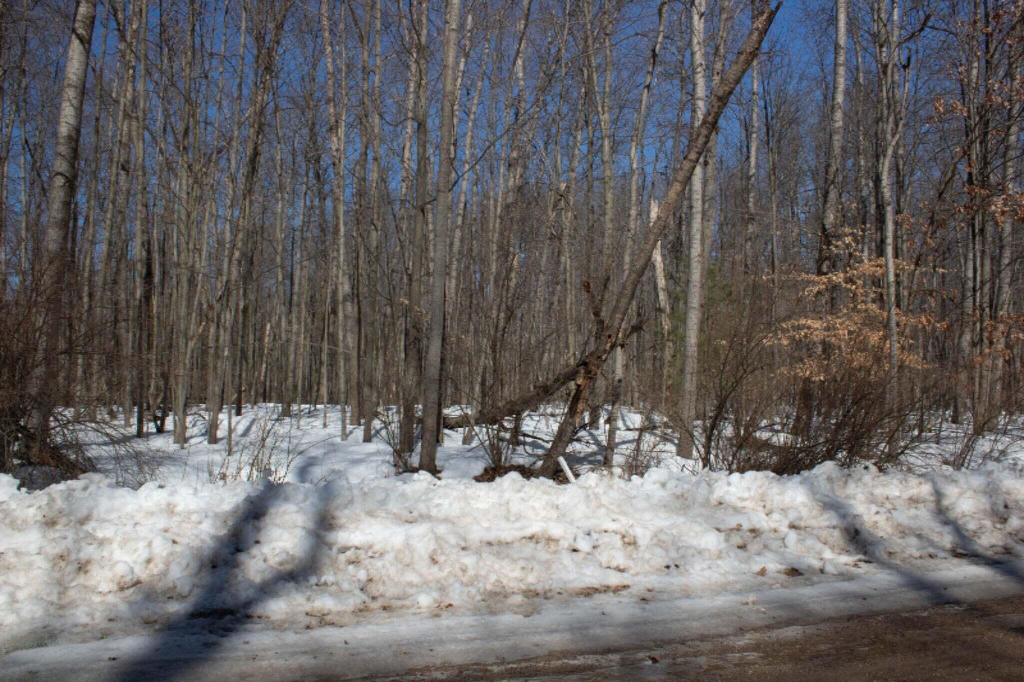 8158 Highland Trail Property Photo 2
