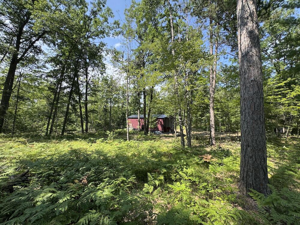 12871 Michigan 33 Property Photo 8