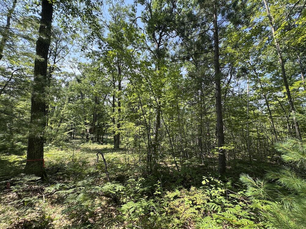 12871 Michigan 33 Property Photo 14