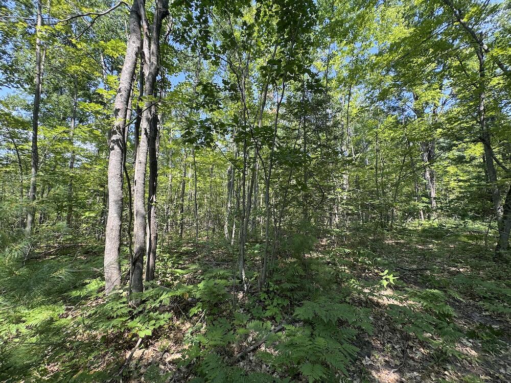 12871 Michigan 33 Property Photo 15