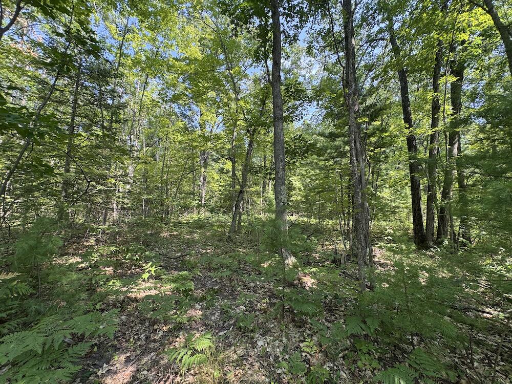 12871 Michigan 33 Property Photo 16