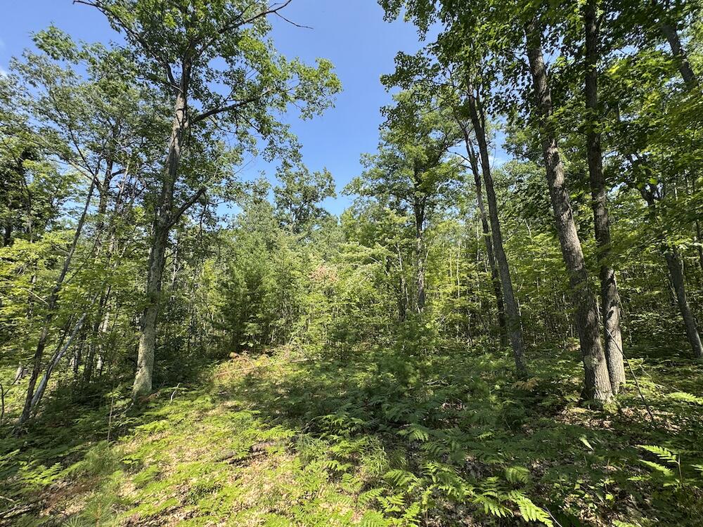 12871 Michigan 33 Property Photo 18