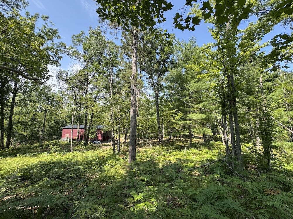 12871 Michigan 33 Property Photo 19