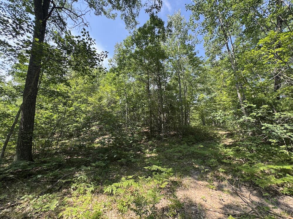 12871 Michigan 33 Property Photo 21