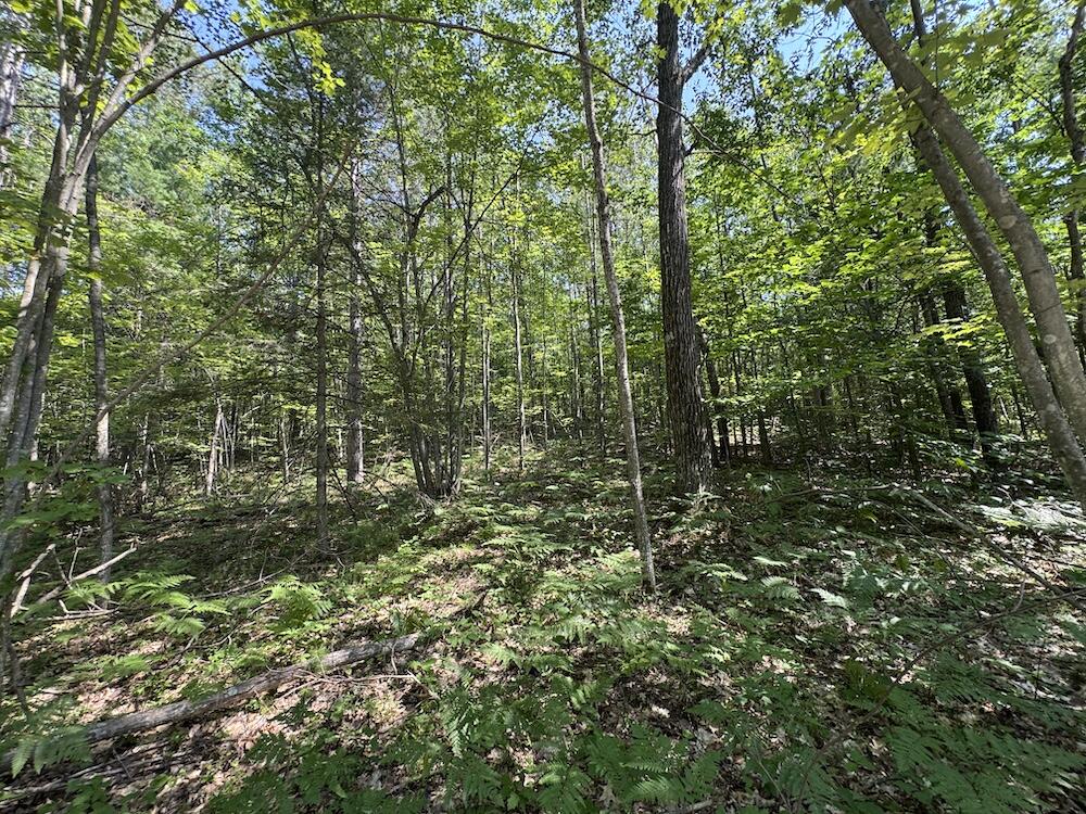 12871 Michigan 33 Property Photo 23