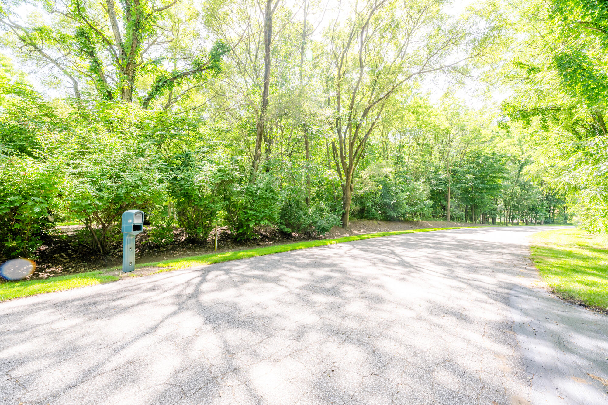 4172 Pine Wood Drive Property Photo 3