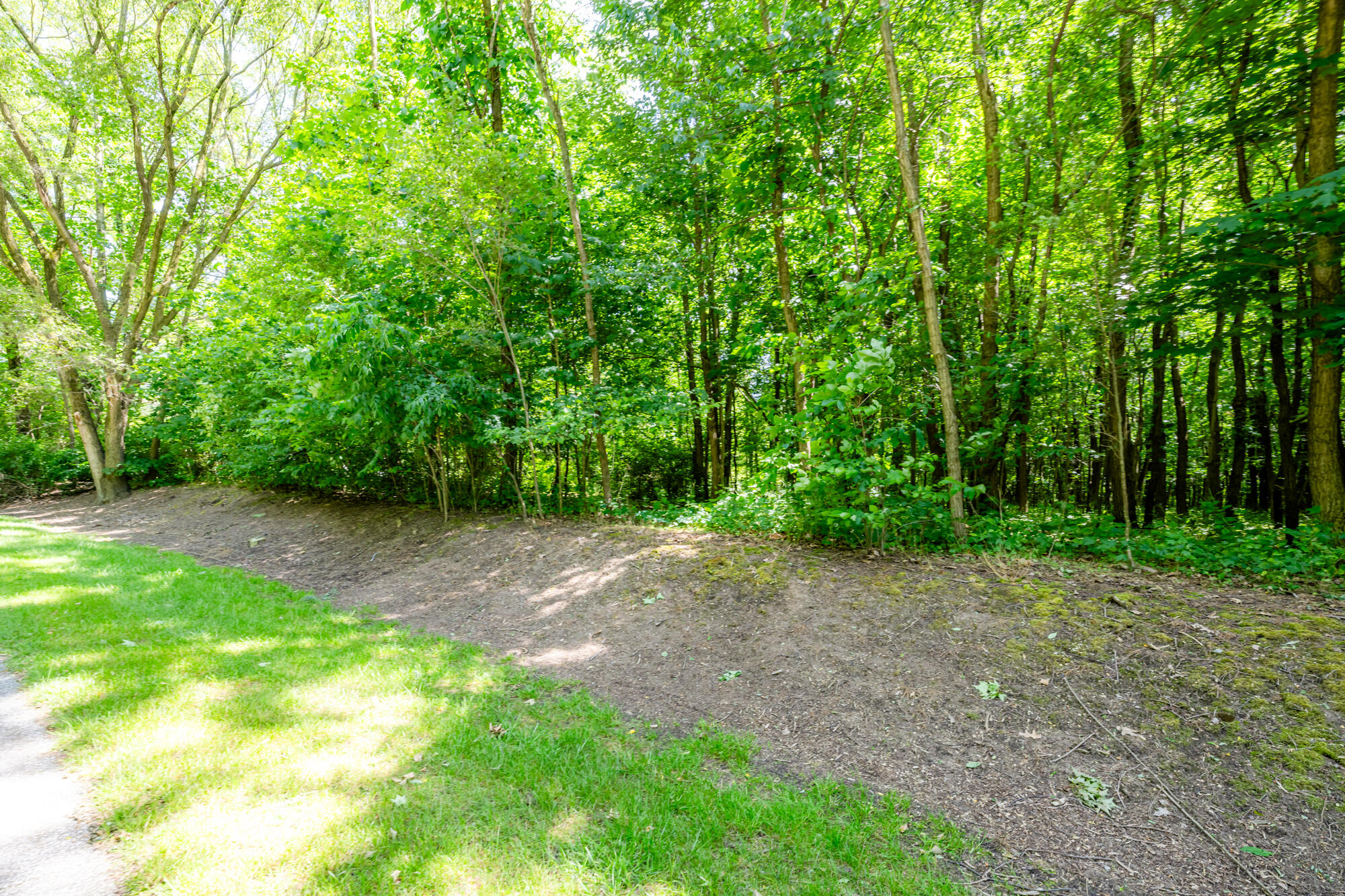 4172 Pine Wood Drive Property Photo 6