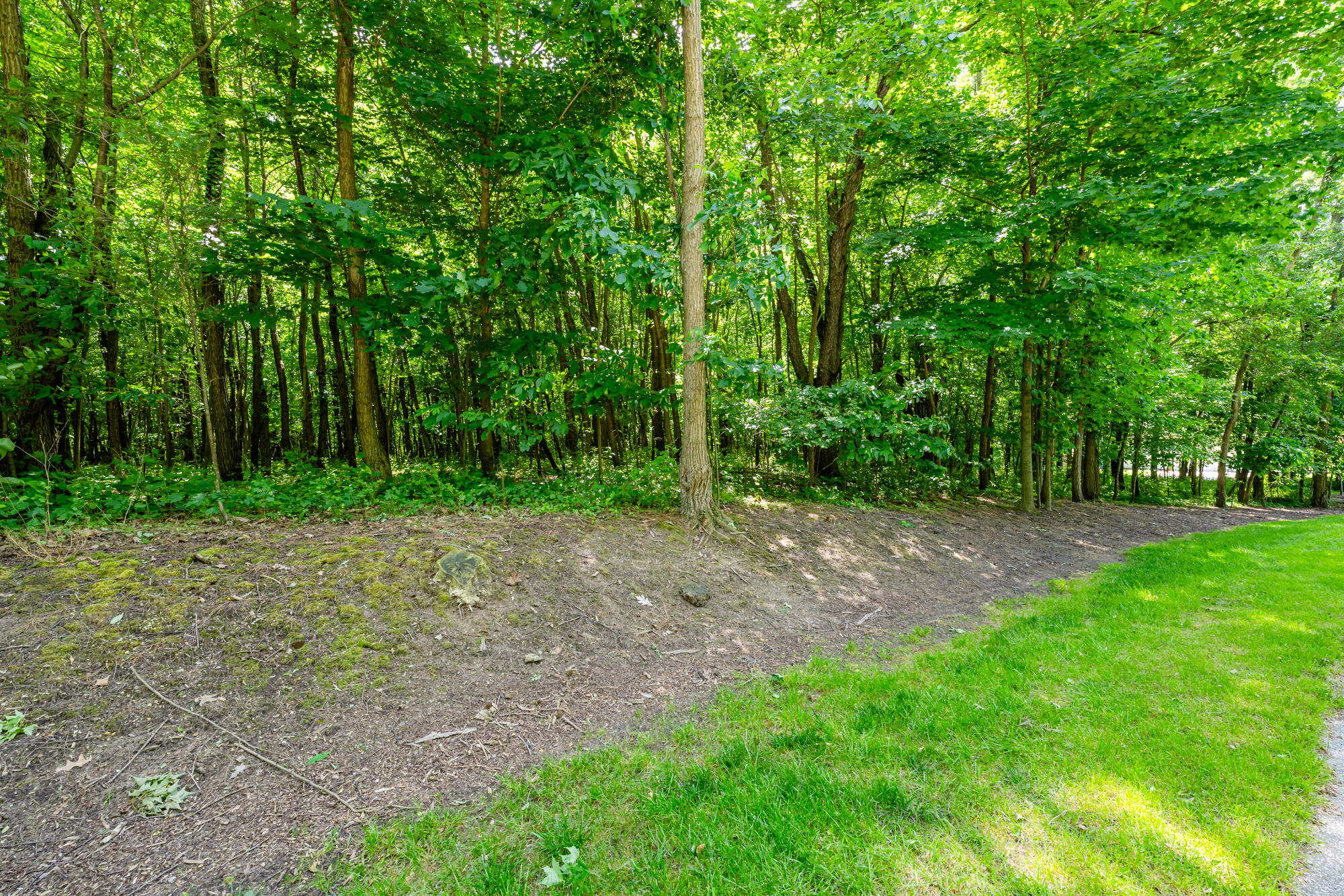 4172 Pine Wood Drive Property Photo 7