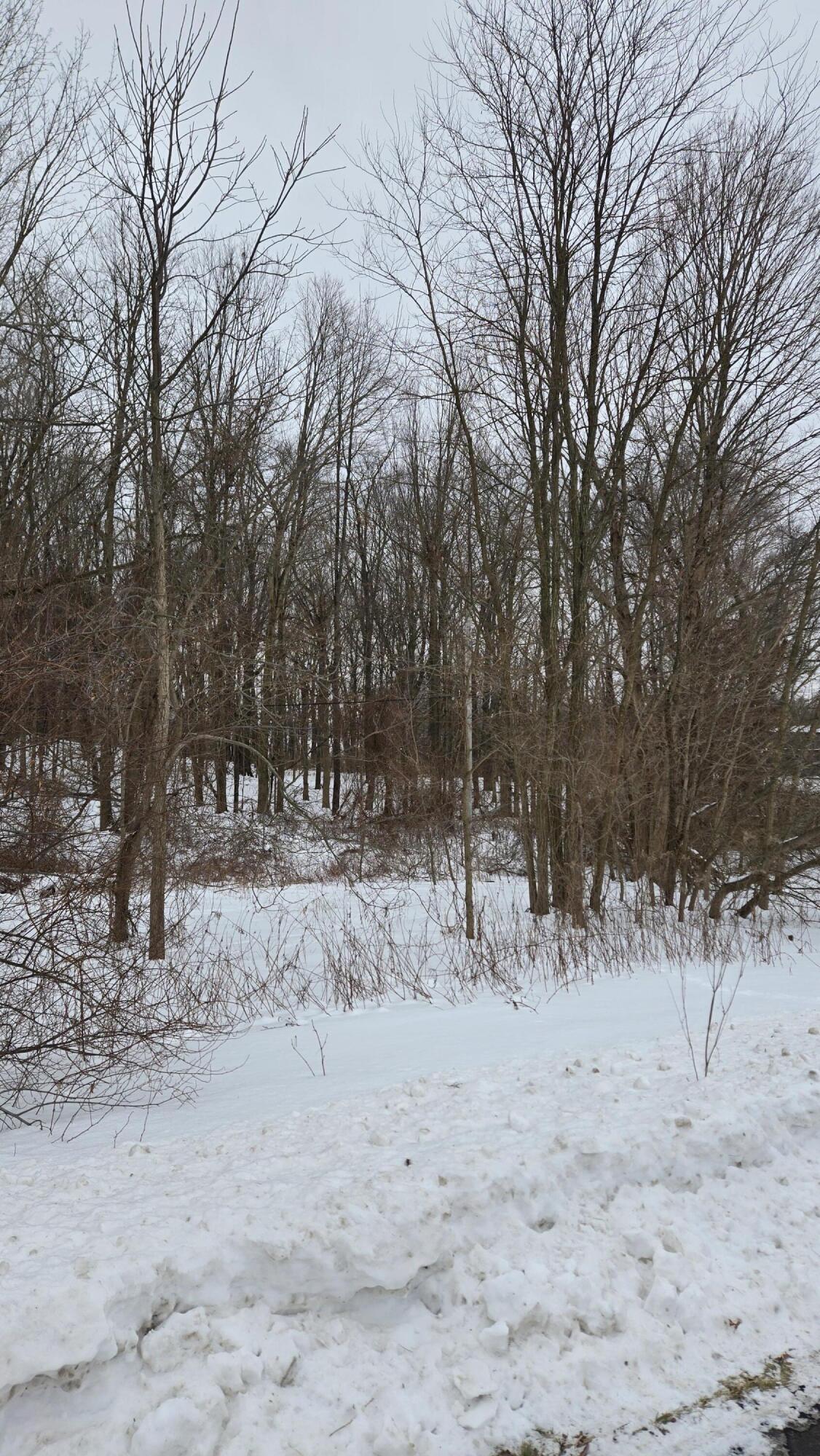 0 Ann Arbor Road Property Photo 10
