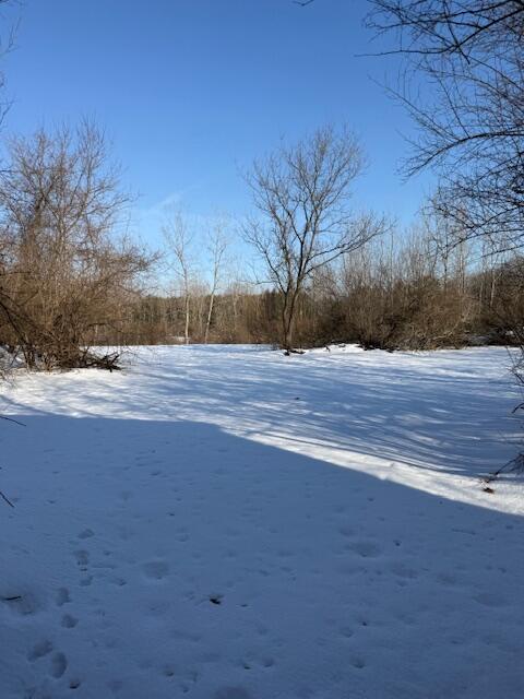 Warner Road Property Photo 12