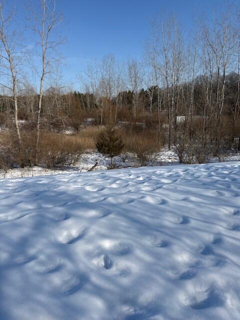 Warner Road Property Photo 13