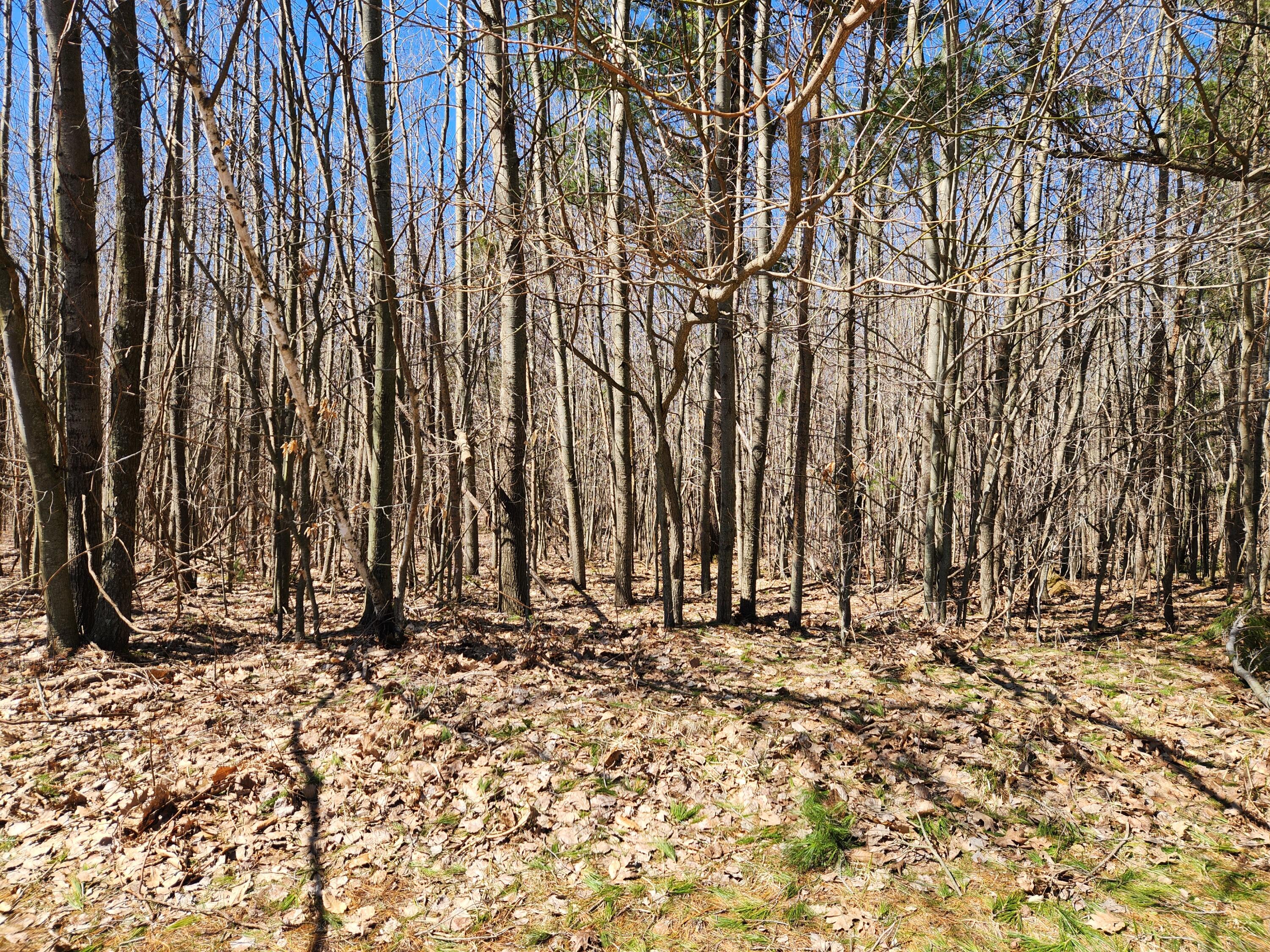 W Starlight Ridge Circle 62 Property Photo 1