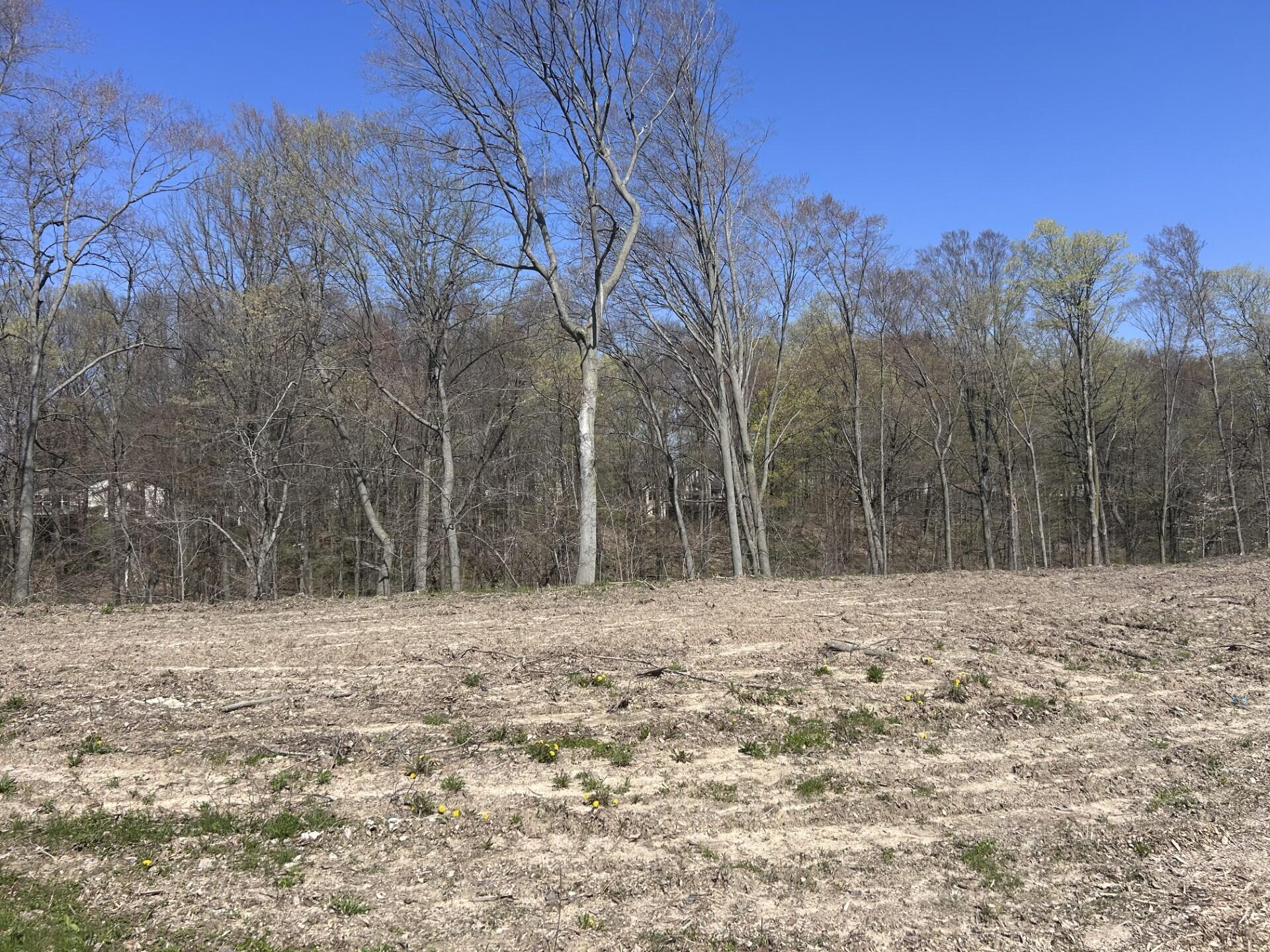 6769 Loggers Rdg Run Se Property Photo 1
