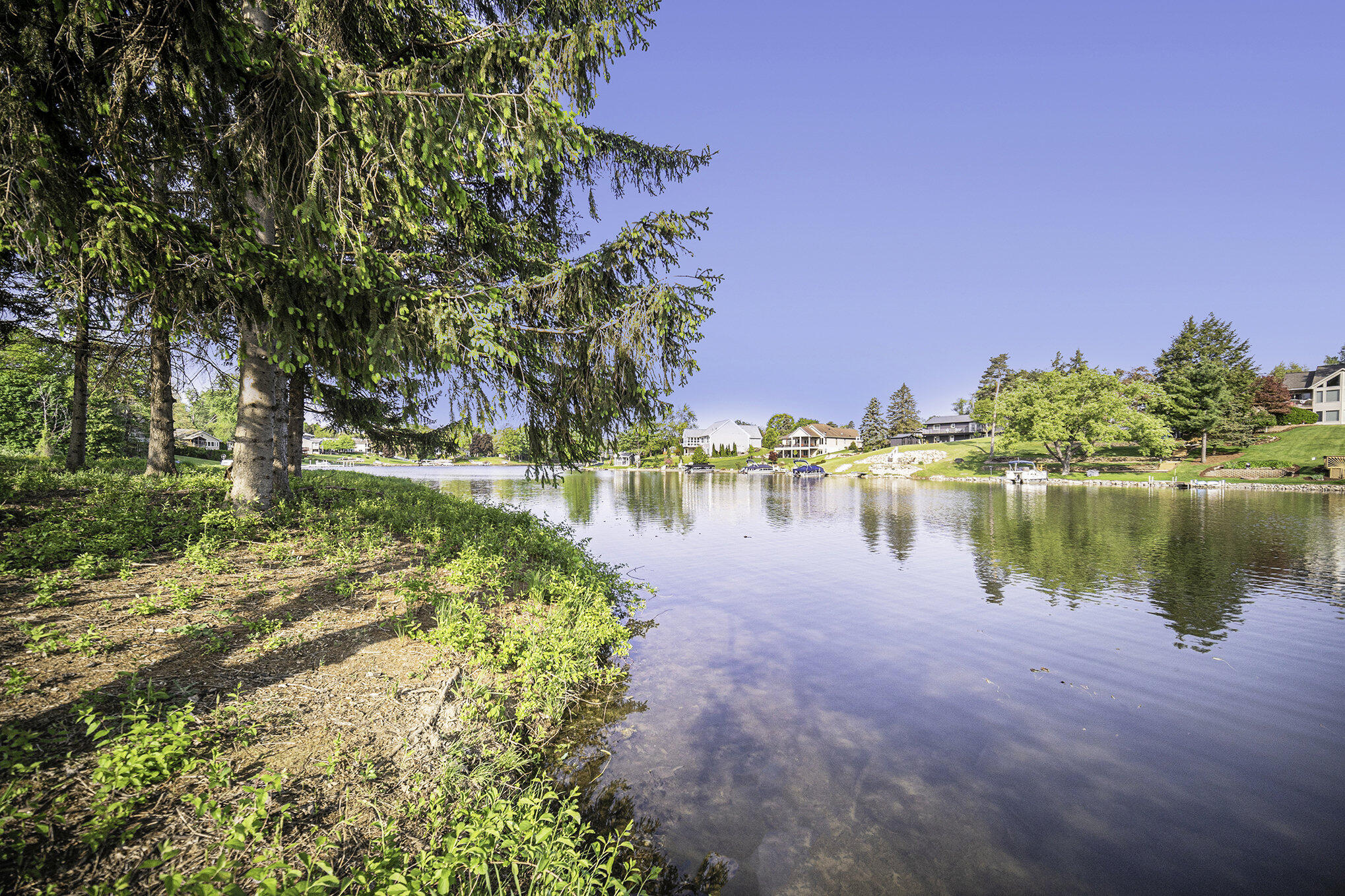 11248 Lemott Circle Property Photo 4