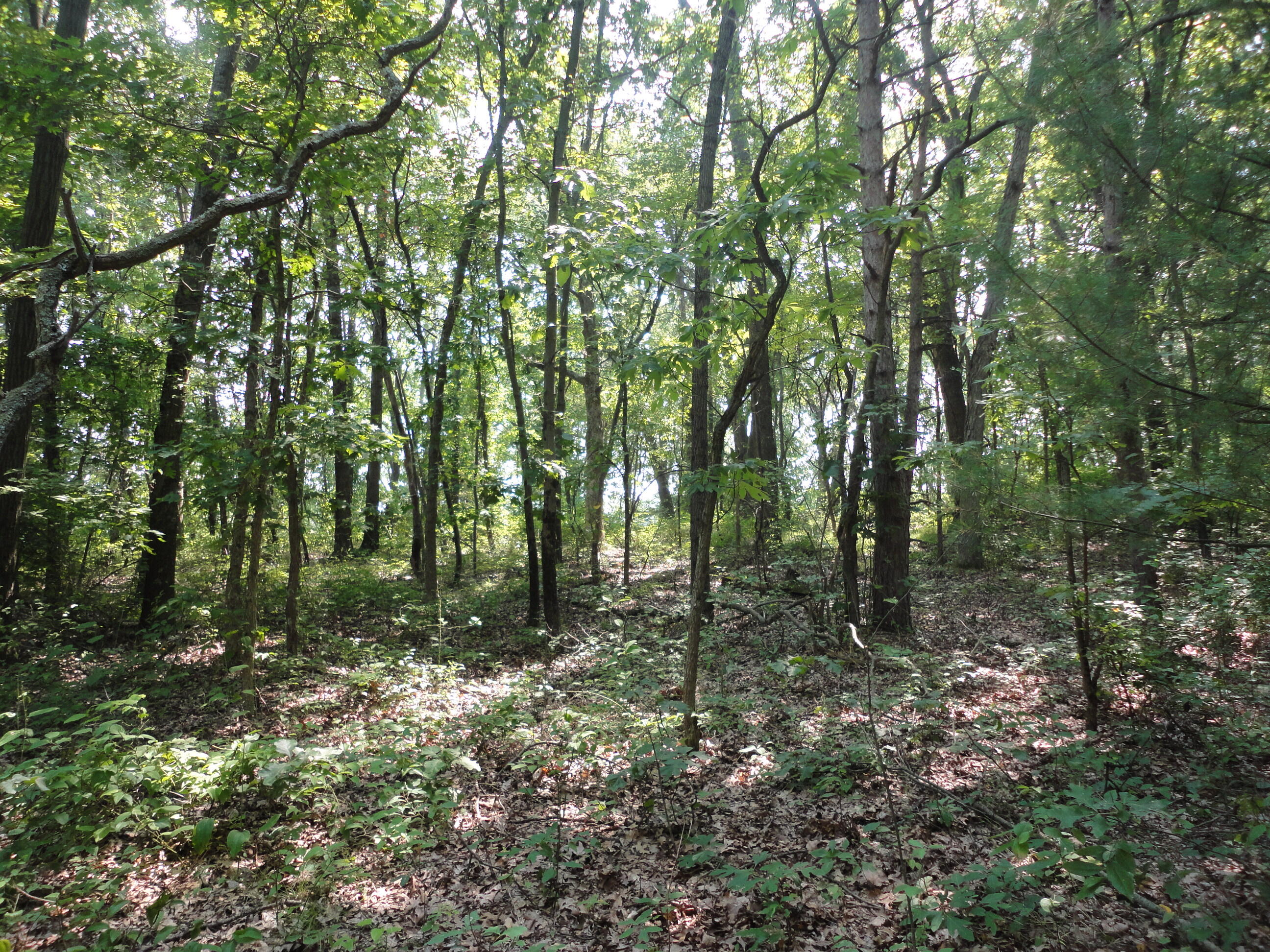 Parcel A Cr 215 Avenue Property Photo 1