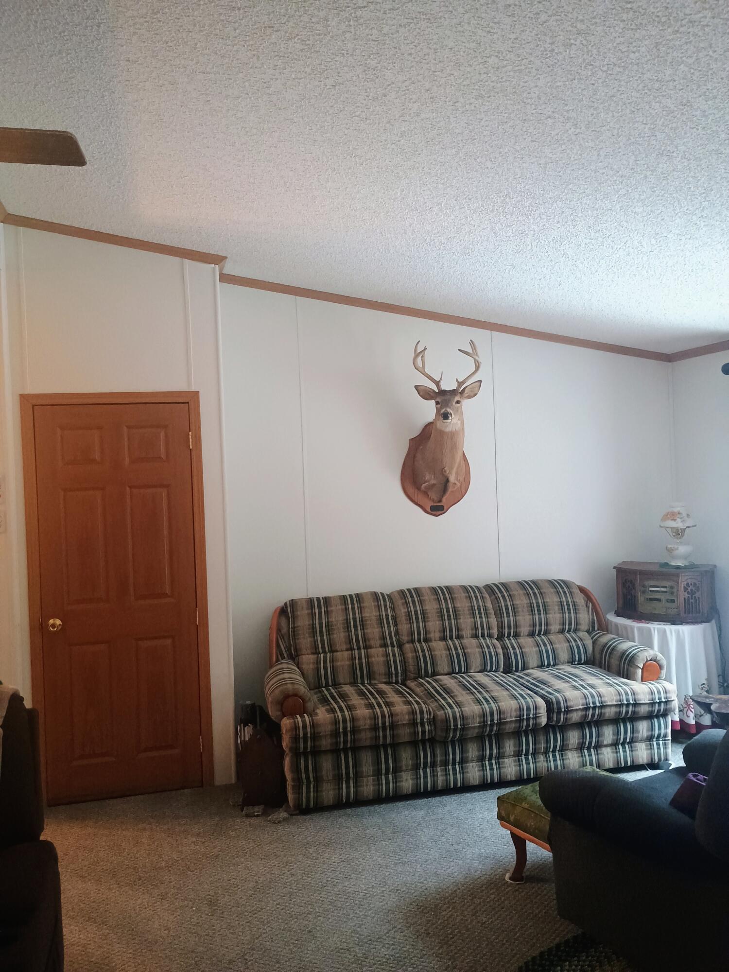 167 Mill Road Property Photo 5