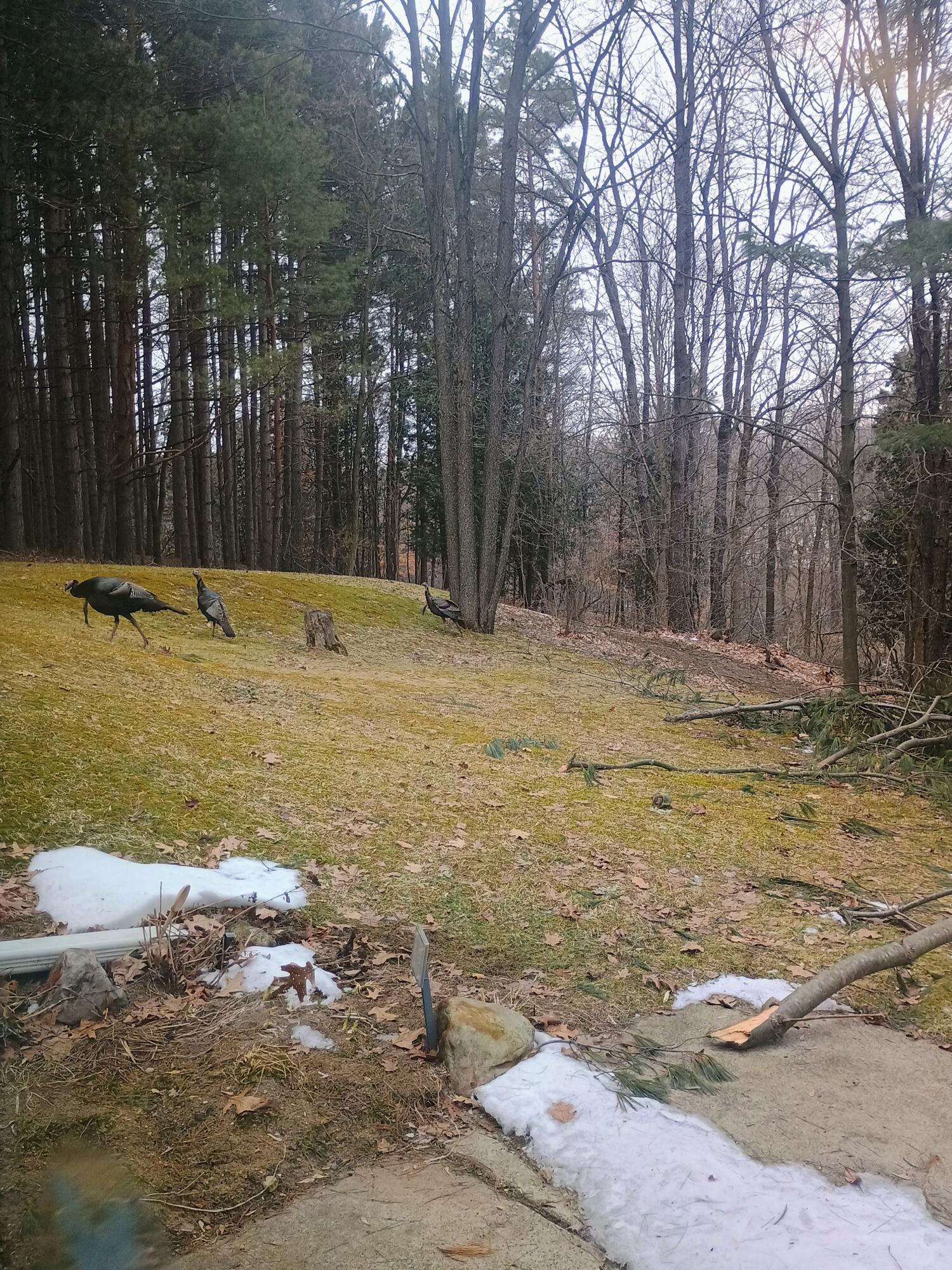 167 Mill Road Property Photo 18