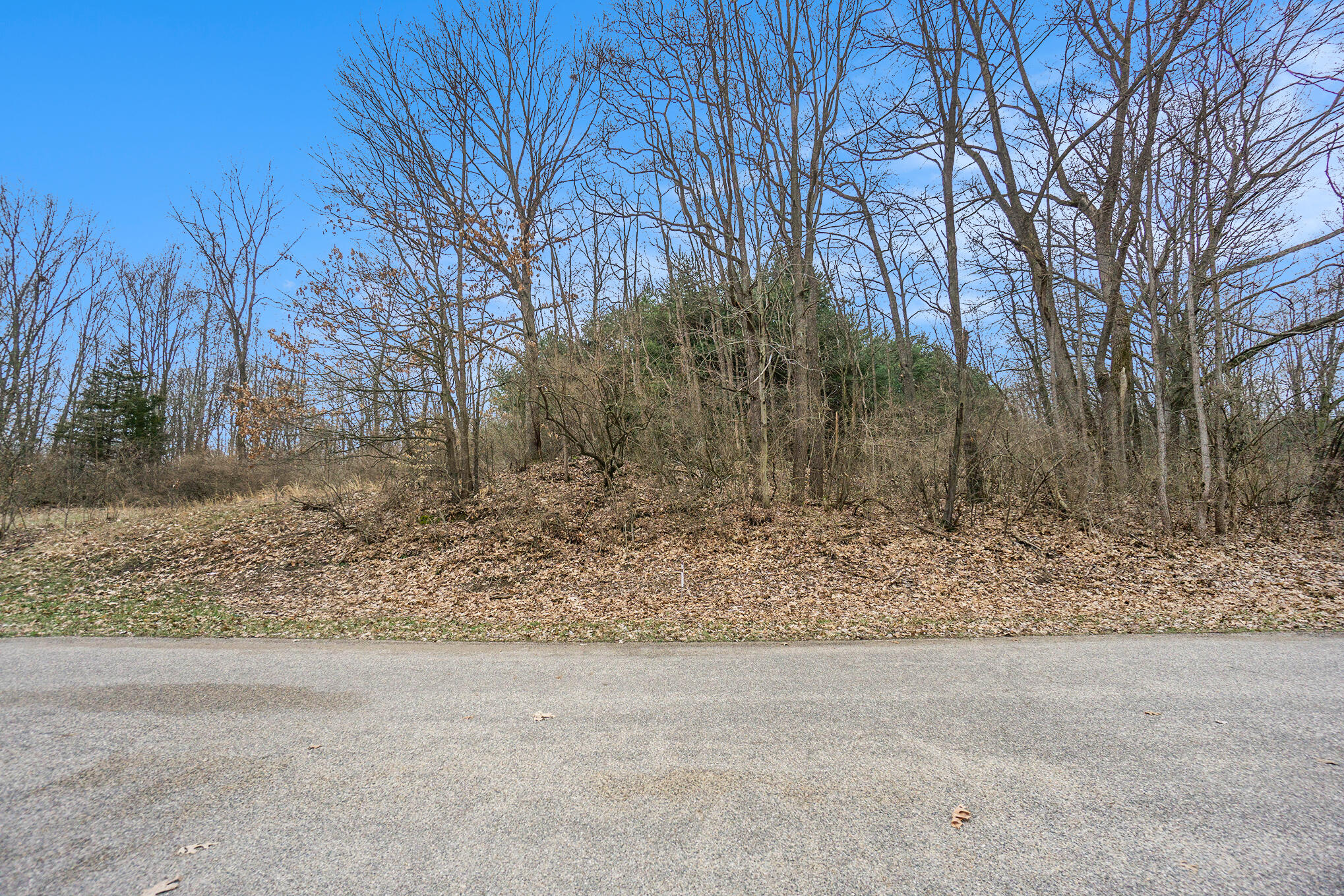 Lot 6 Highfield Road Property Photo 11