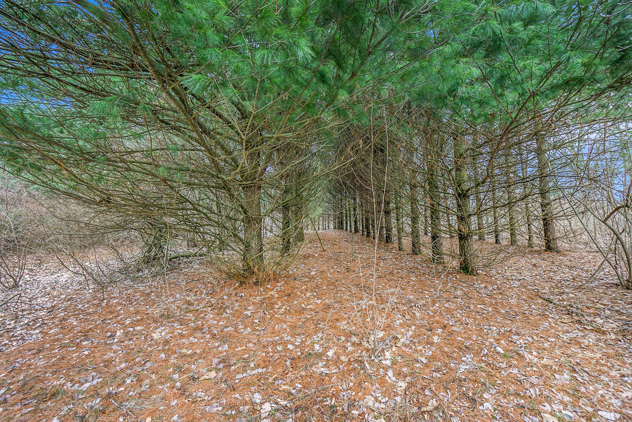 Lot 6 Highfield Road Property Photo 16