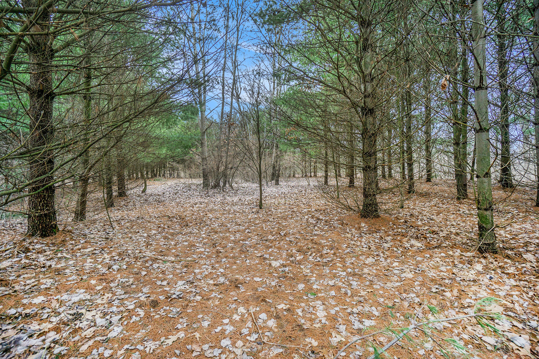 Lot 6 Highfield Road Property Photo 17